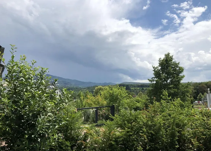 Baeumchenblick * 穆尔海姆